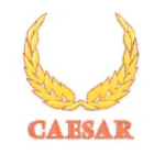 PT. CAESAR ENGINEERING AND WORKS