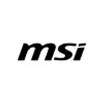 MSI