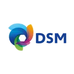 DSM company logo