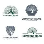 Treecommodate company icon