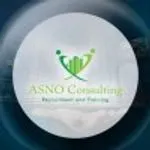 ASNO Consulting