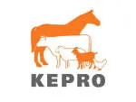 PT KEPRO CNC TECH company logo