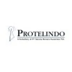 Protelindo, PT