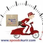 Speedo Kurir