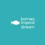 Borneo Tropical Stream