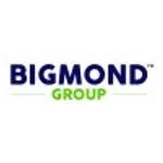 BIGMOND GROUP