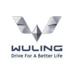 Wuling Motors Palembang