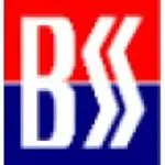 BSS Recruitment Consultant