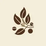 CoffeeBeans Consulting company icon