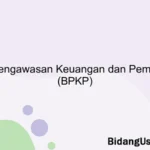 Badan Pengawasan Keuangan dan Pembagunan (BPKP)