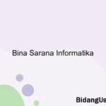 Bina Sarana Informatika