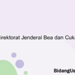 Direktorat Jenderal Bea dan Cukai