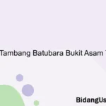 PT Tambang Batubara Bukit Asam Tbk