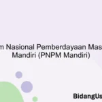 Program Nasional Pemberdayaan Masyarakat Mandiri (PNPM Mandiri)