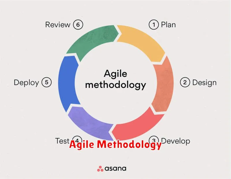 Agile Methodology