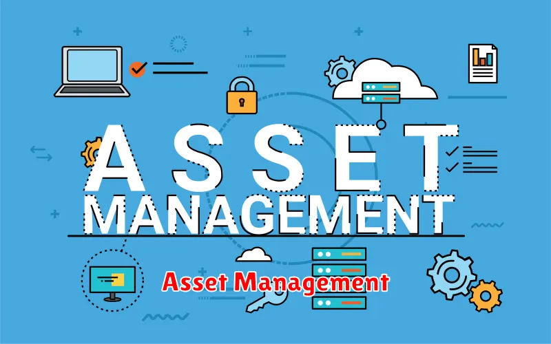 Asset Management