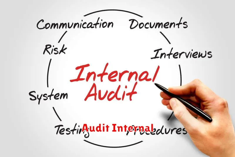 Audit Internal