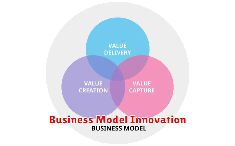 Business Model Innovation