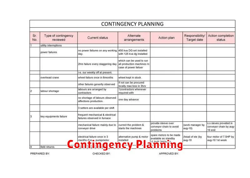 Contingency Planning