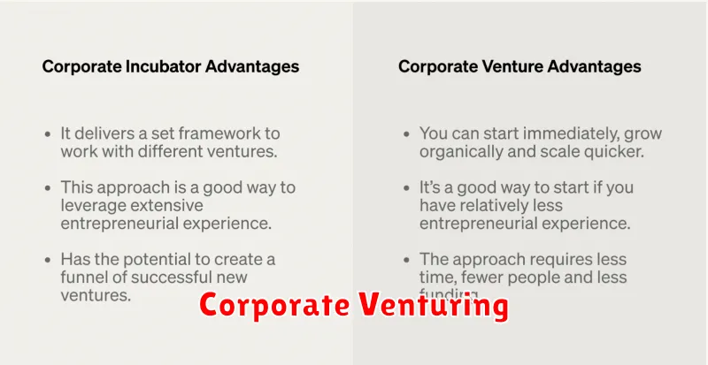 Corporate Venturing