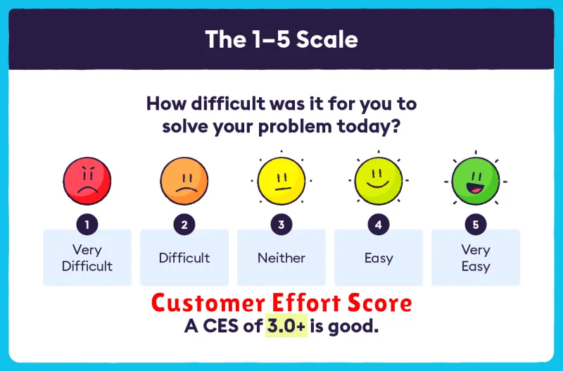 Customer Effort Score