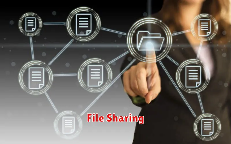 File Sharing