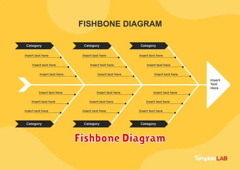 Fishbone Diagram