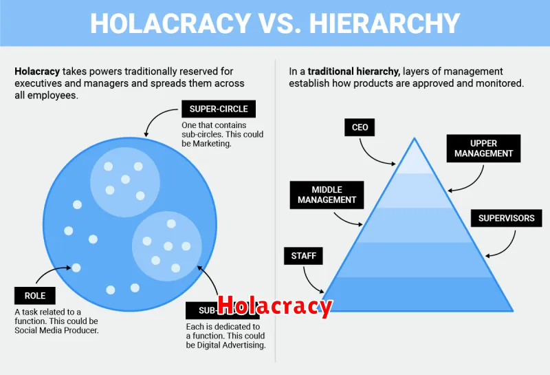 Holacracy