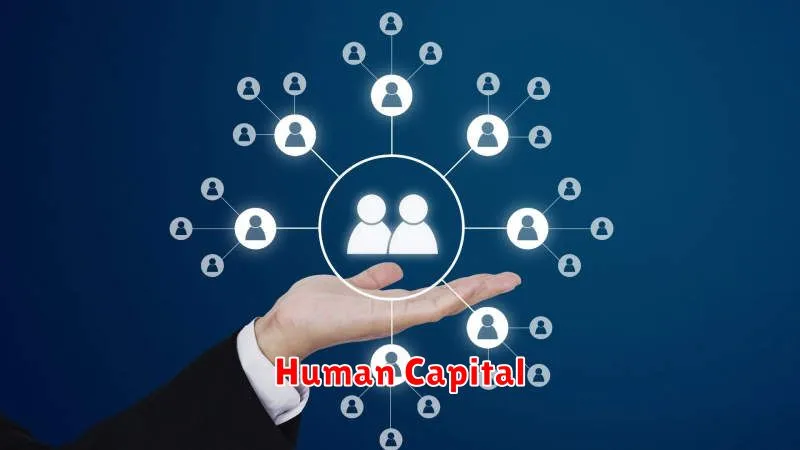 Human Capital