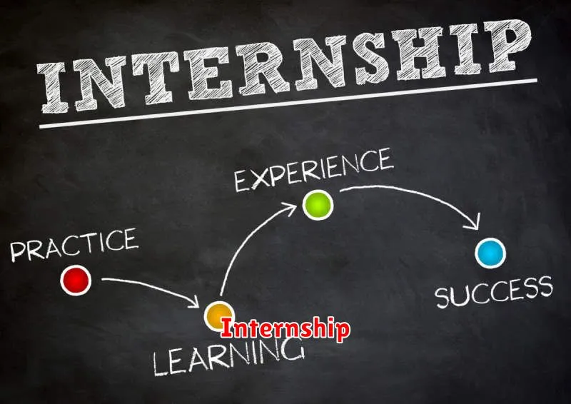 Internship