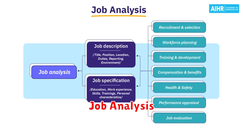 Job Analysis