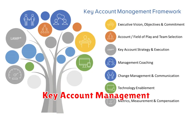 Key Account Management