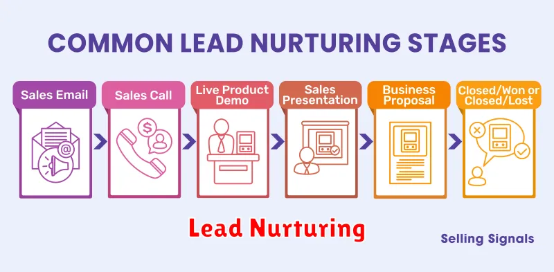 Lead Nurturing