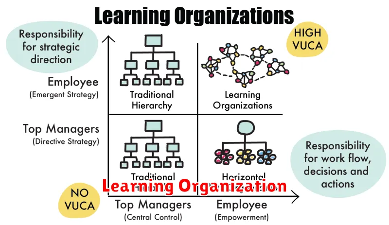 Learning Organization