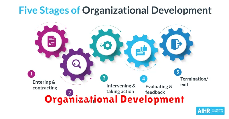 Organizational Development