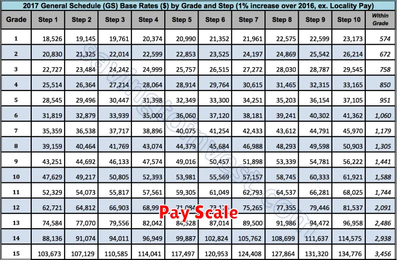 Pay Scale