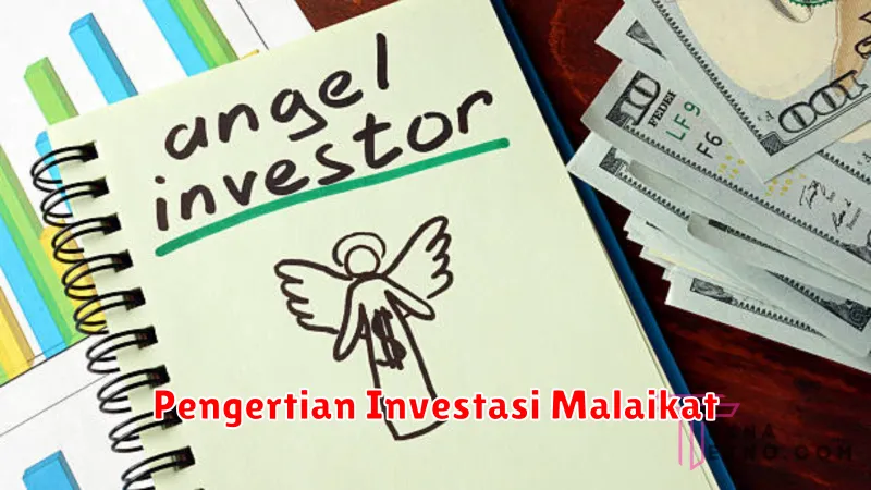 Pengertian Investasi Malaikat