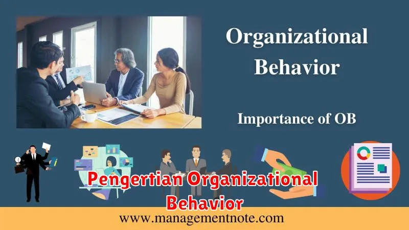 Pengertian Organizational Behavior