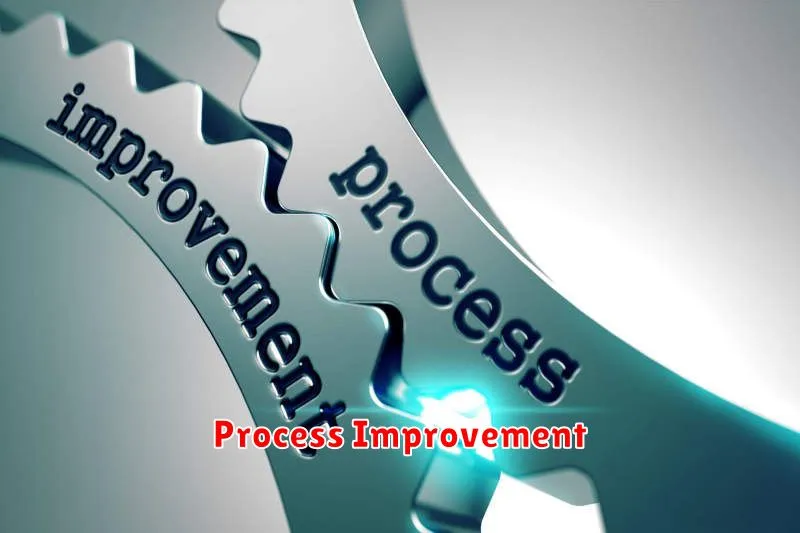 Process Improvement