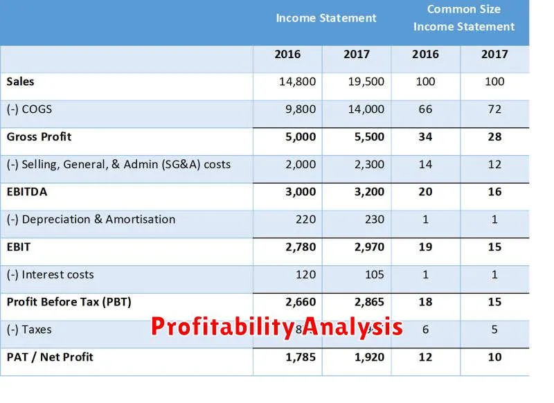 Profitability Analysis