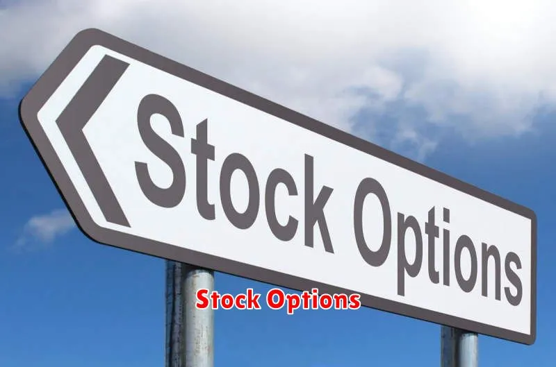 Stock Options