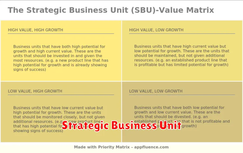 Strategic Business Unit