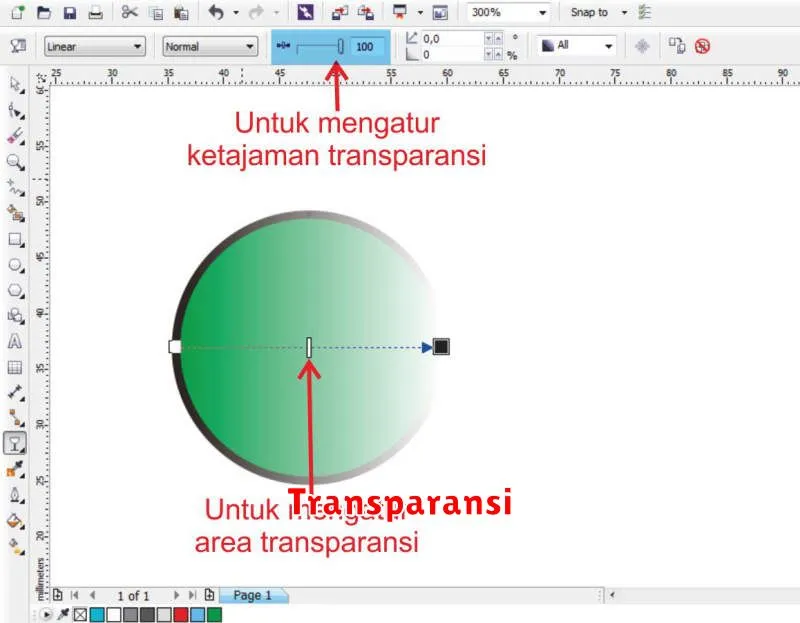 Transparansi