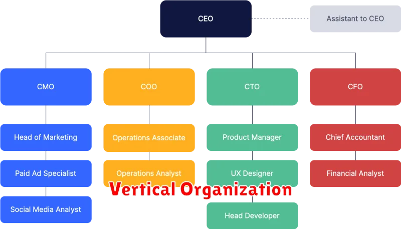 Vertical Organization