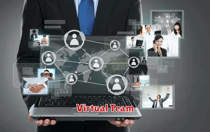 Virtual Team